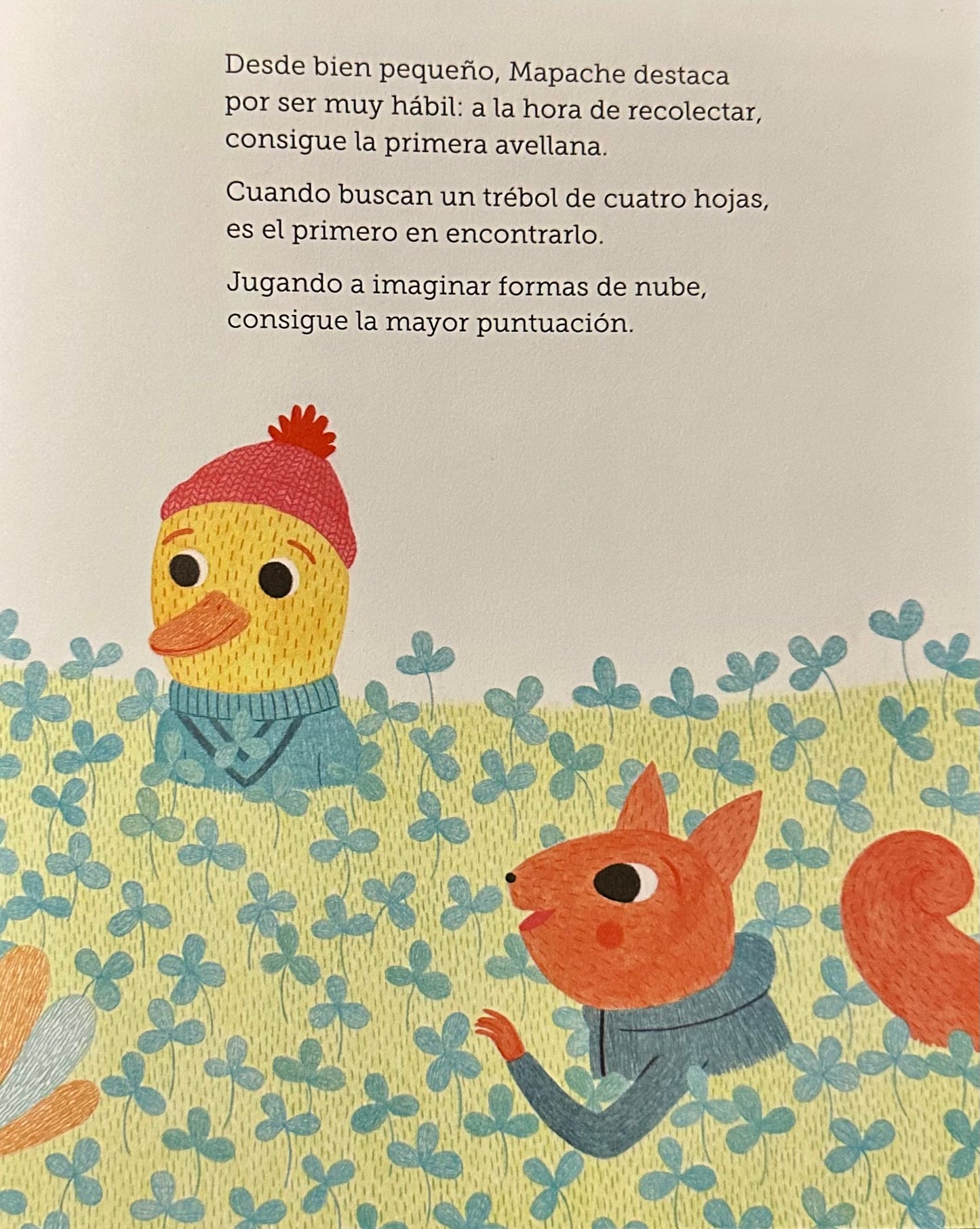 Mapache quiere ser el primero
